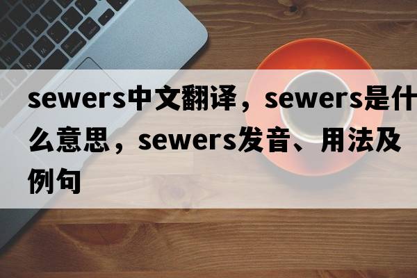 sewers中文翻譯，sewers是什么意思，sewers發(fā)音、用法及例句