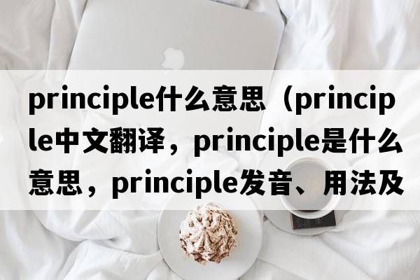 principle什么意思（principle中文翻譯，principle是什么意思，principle發(fā)音、用法及例句）