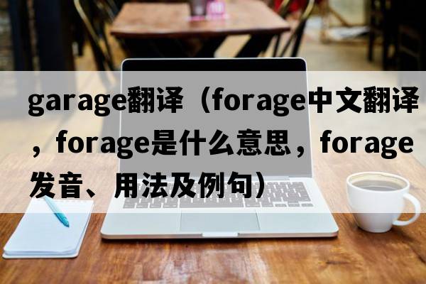 garage翻譯（forage中文翻譯，forage是什么意思，forage發(fā)音、用法及例句）