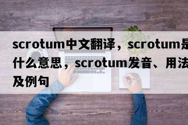 scrotum中文翻譯，scrotum是什么意思，scrotum發(fā)音、用法及例句