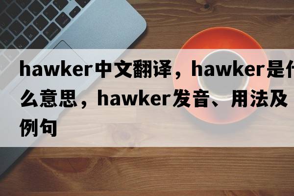 hawker中文翻譯，hawker是什么意思，hawker發(fā)音、用法及例句
