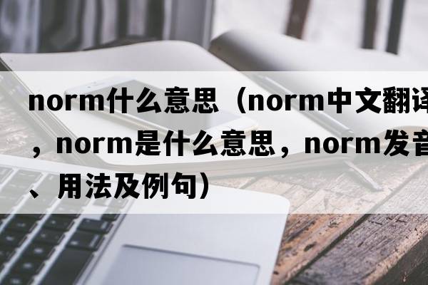 norm什么意思（norm中文翻譯，norm是什么意思，norm發(fā)音、用法及例句）