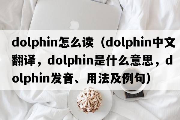 dolphin怎么讀（dolphin中文翻譯，dolphin是什么意思，dolphin發(fā)音、用法及例句）