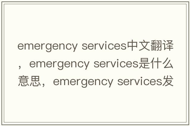 emergency services中文翻譯，emergency services是什么意思，emergency services發(fā)音、用法及例句