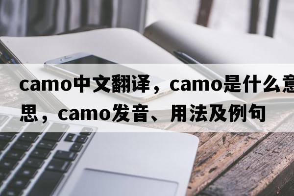 camo中文翻譯，camo是什么意思，camo發(fā)音、用法及例句