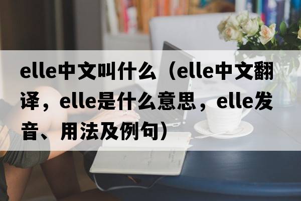 elle中文叫什么（elle中文翻譯，elle是什么意思，elle發(fā)音、用法及例句）