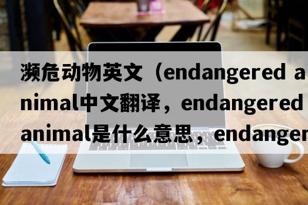 瀕危動物英文（endangered animal中文翻譯，endangered animal是什么意思，endangered animal發(fā)音、用法及例句）