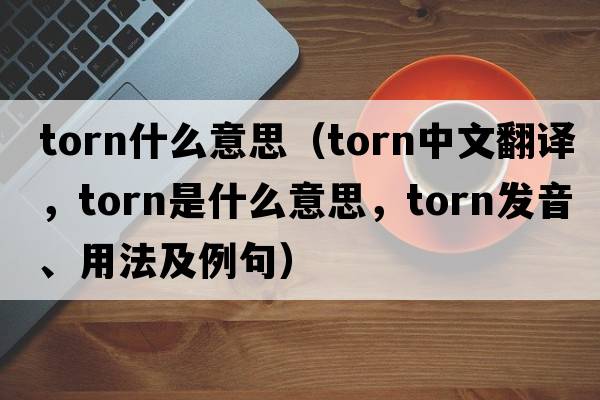 torn什么意思（torn中文翻譯，torn是什么意思，torn發(fā)音、用法及例句）