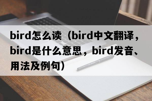bird怎么讀（bird中文翻譯，bird是什么意思，bird發(fā)音、用法及例句）
