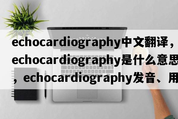 echocardiography中文翻譯，echocardiography是什么意思，echocardiography發(fā)音、用法及例句