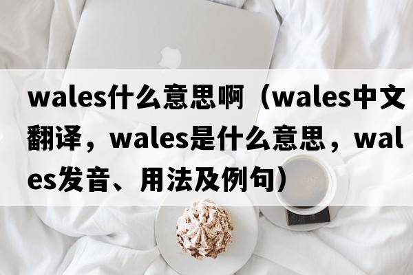 wales什么意思?。╳ales中文翻譯，wales是什么意思，wales發(fā)音、用法及例句）