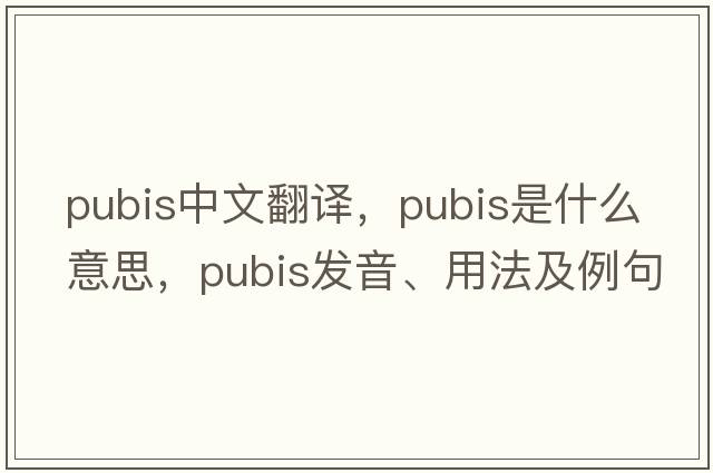pubis中文翻譯，pubis是什么意思，pubis發(fā)音、用法及例句