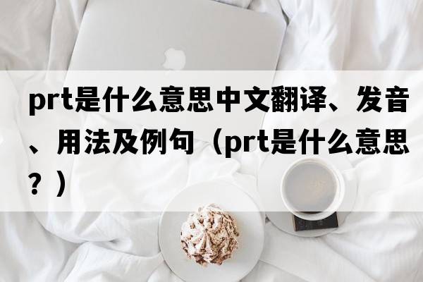prt是什么意思中文翻譯、發(fā)音、用法及例句（prt是什么意思？）
