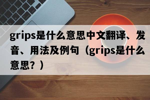 grips是什么意思中文翻譯、發(fā)音、用法及例句（grips是什么意思？）