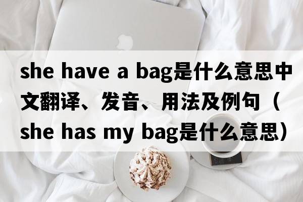 she have a bag是什么意思中文翻譯、發(fā)音、用法及例句（she has my bag是什么意思）