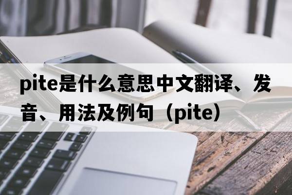 PITE是什么意思中文翻譯、發(fā)音、用法及例句（pite）