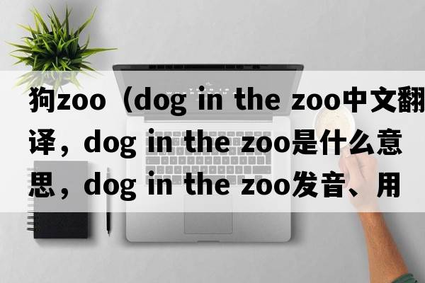 狗zoo（dog in the zoo中文翻譯，dog in the zoo是什么意思，dog in the zoo發(fā)音、用法及例句）