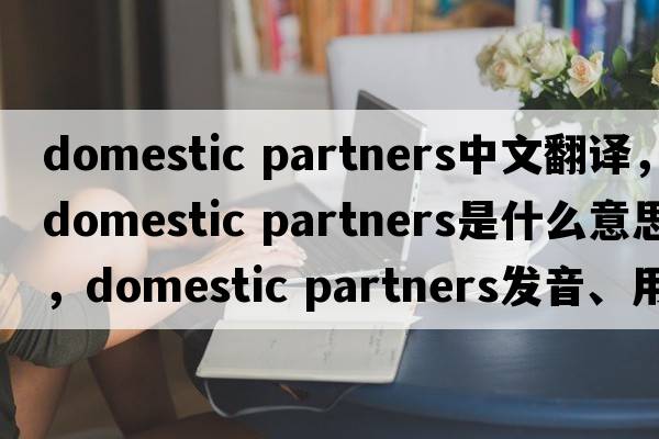 domestic partners中文翻譯，domestic partners是什么意思，domestic partners發(fā)音、用法及例句