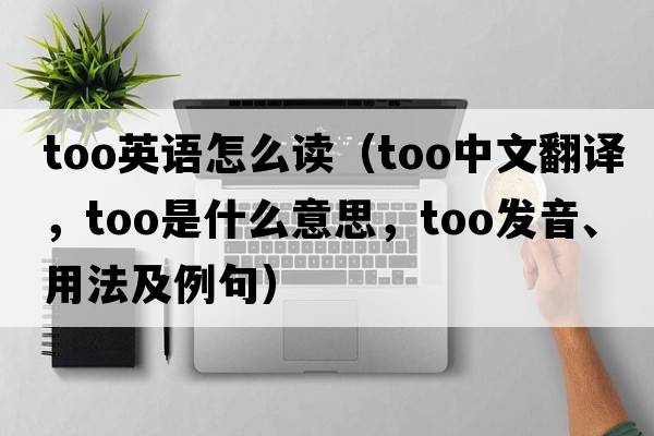 too英語怎么讀（too中文翻譯，too是什么意思，too發(fā)音、用法及例句）