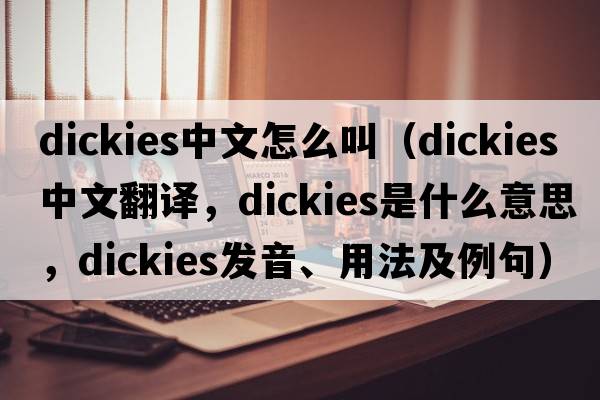 dickies中文怎么叫（dickies中文翻譯，dickies是什么意思，dickies發(fā)音、用法及例句）