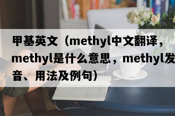 甲基英文（methyl中文翻譯，methyl是什么意思，methyl發(fā)音、用法及例句）