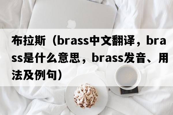 布拉斯（brass中文翻譯，brass是什么意思，brass發(fā)音、用法及例句）