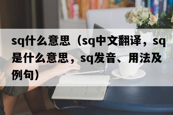 sq什么意思（sq中文翻譯，sq是什么意思，sq發(fā)音、用法及例句）