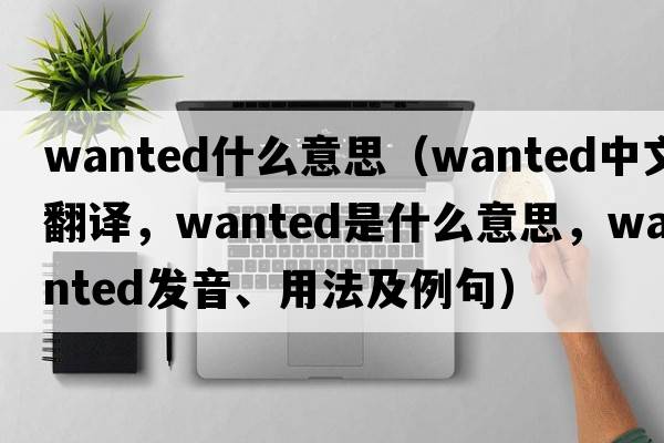 wanted什么意思（wanted中文翻譯，wanted是什么意思，wanted發(fā)音、用法及例句）