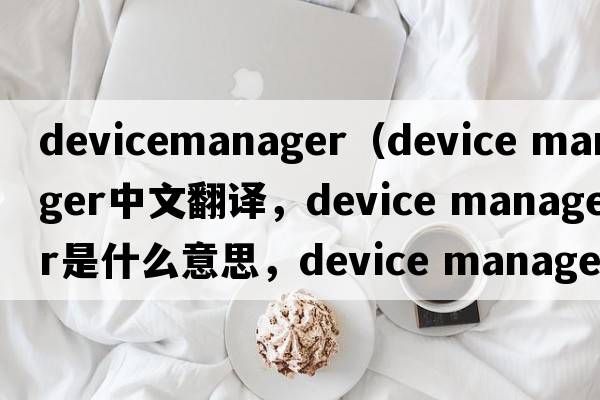 devicemanager（device manager中文翻譯，device manager是什么意思，device manager發(fā)音、用法及例句）