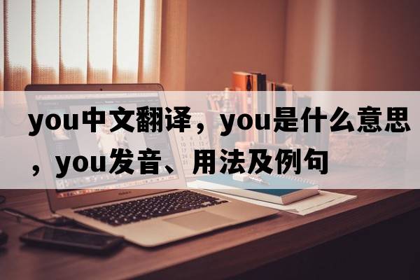 you中文翻譯，you是什么意思，you發(fā)音、用法及例句