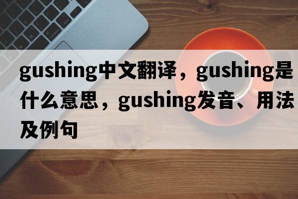 gushing中文翻譯，gushing是什么意思，gushing發(fā)音、用法及例句