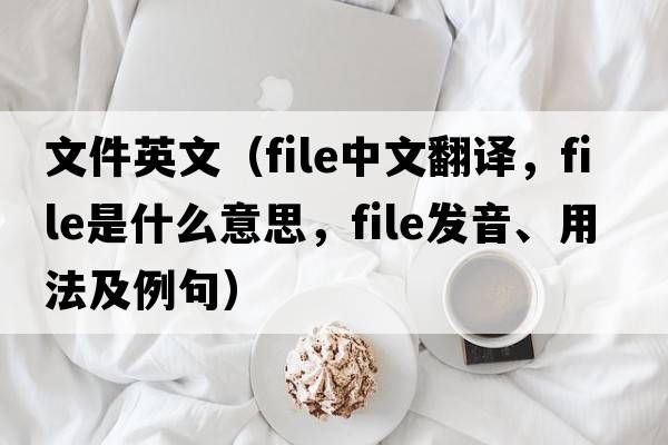 文件英文（file中文翻譯，file是什么意思，file發(fā)音、用法及例句）