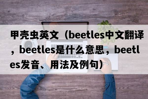 甲殼蟲英文（beetles中文翻譯，beetles是什么意思，beetles發(fā)音、用法及例句）