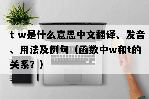 t w是什么意思中文翻譯、發(fā)音、用法及例句（函數(shù)中w和t的關(guān)系？）