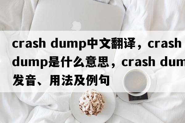 crash dump中文翻譯，crash dump是什么意思，crash dump發(fā)音、用法及例句