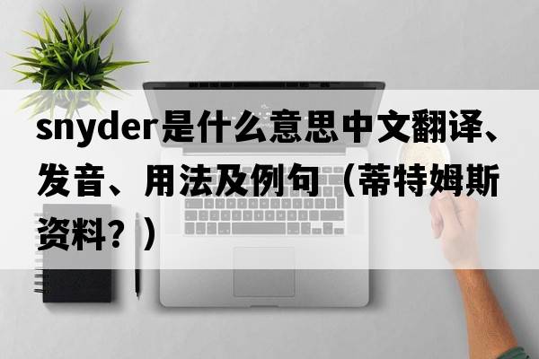 snyder是什么意思中文翻譯、發(fā)音、用法及例句（蒂特姆斯資料？）