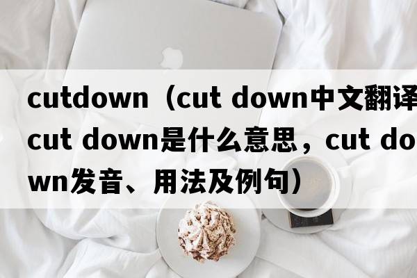 cutdown（cut down中文翻譯，cut down是什么意思，cut down發(fā)音、用法及例句）