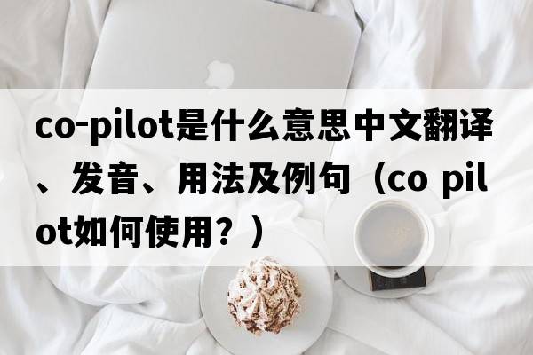 co-pilot是什么意思中文翻譯、發(fā)音、用法及例句（co pilot如何使用？）