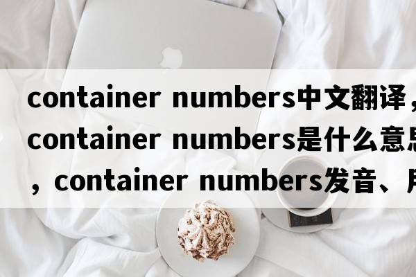 container numbers中文翻譯，container numbers是什么意思，container numbers發(fā)音、用法及例句