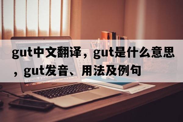 gut中文翻譯，gut是什么意思，gut發(fā)音、用法及例句