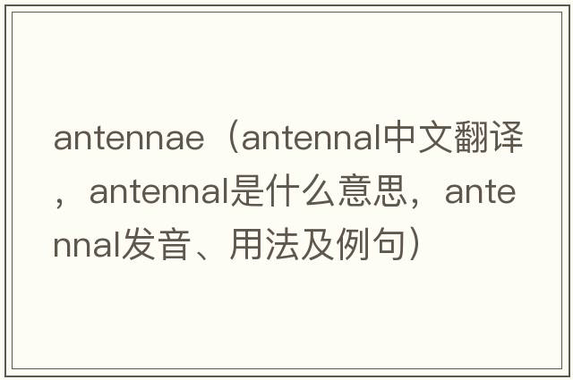 antennae（antennal中文翻譯，antennal是什么意思，antennal發(fā)音、用法及例句）