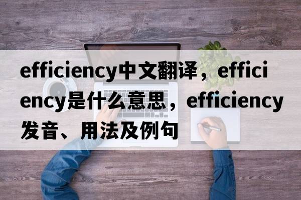 efficiency中文翻譯，efficiency是什么意思，efficiency發(fā)音、用法及例句