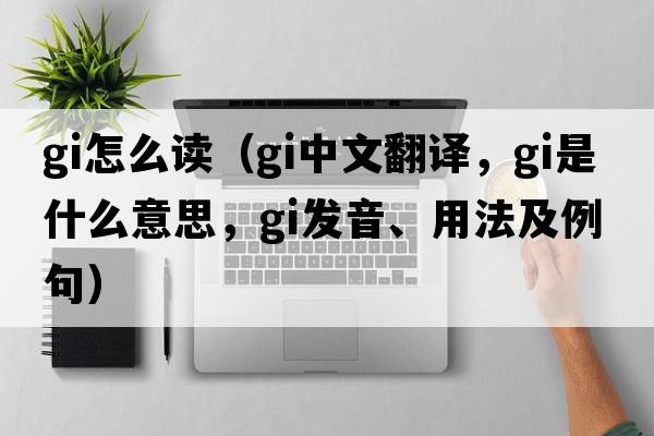 gi怎么讀（gi中文翻譯，gi是什么意思，gi發(fā)音、用法及例句）