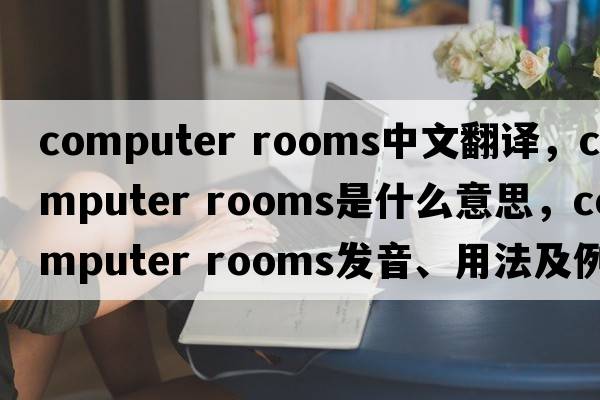 computer rooms中文翻譯，computer rooms是什么意思，computer rooms發(fā)音、用法及例句