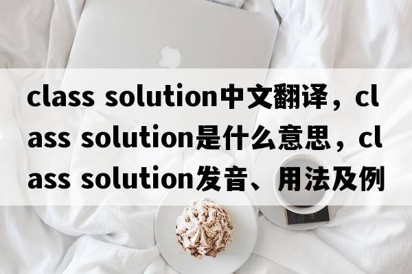 class solution中文翻譯，class solution是什么意思，class solution發(fā)音、用法及例句