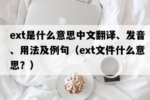 ext是什么意思中文翻譯、發(fā)音、用法及例句（ext文件什么意思？）