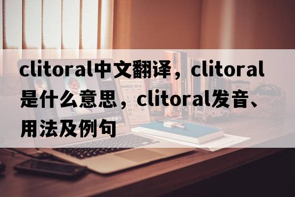 clitoral中文翻譯，clitoral是什么意思，clitoral發(fā)音、用法及例句