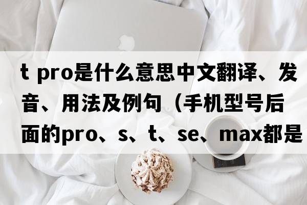 t pro是什么意思中文翻譯、發(fā)音、用法及例句（手機型號后面的Pro、S、T、SE、Max都是什么意思？）