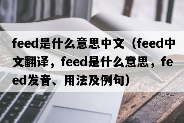 feed是什么意思中文（feed中文翻譯，feed是什么意思，feed發(fā)音、用法及例句）