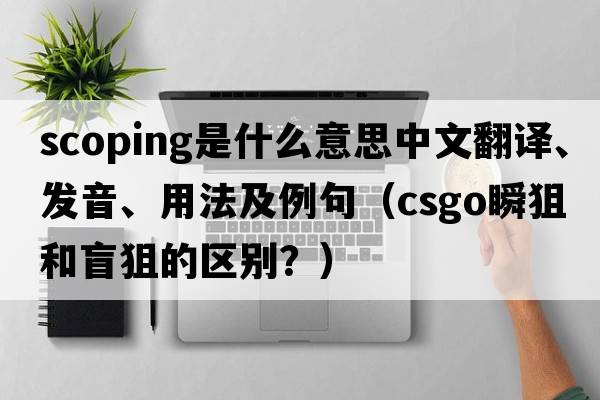 scoping是什么意思中文翻譯、發(fā)音、用法及例句（csgo瞬狙和盲狙的區(qū)別？）
